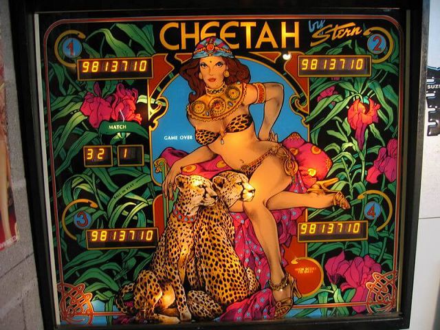 Cheetah - Foto 1