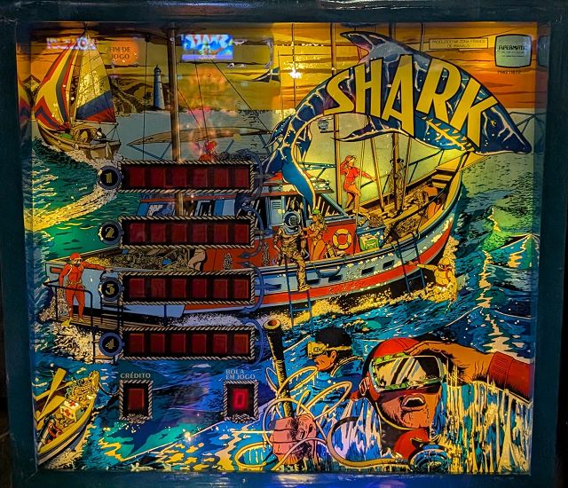Shark - Foto 1